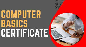 Diploma Courses